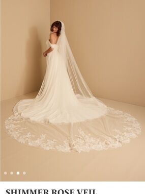 Shimmer Rose Veil - Royal Cathedral Length Ivory Bridal Veil